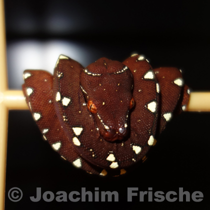 22. Januar 2019