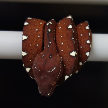 14. April 2019