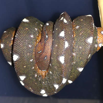 19. September 2019