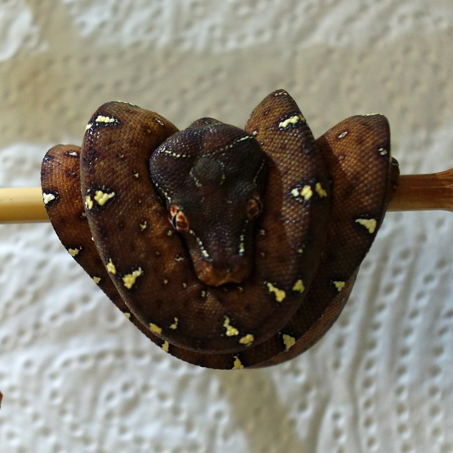 03. May 2019