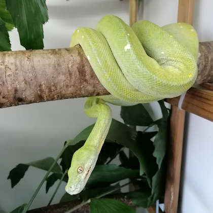 02. September 2021