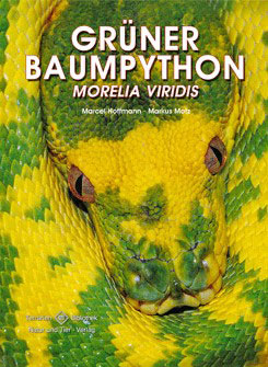 Grüner Baumpython Morelia viridis