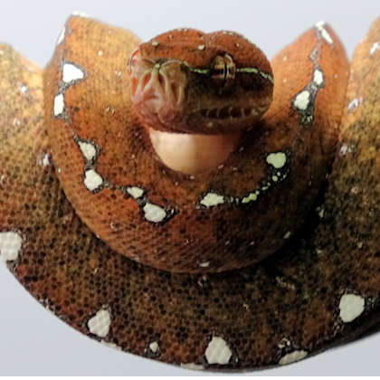 28. September 2019