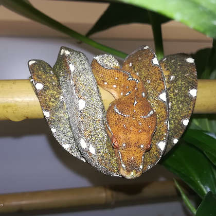 13. October 2019